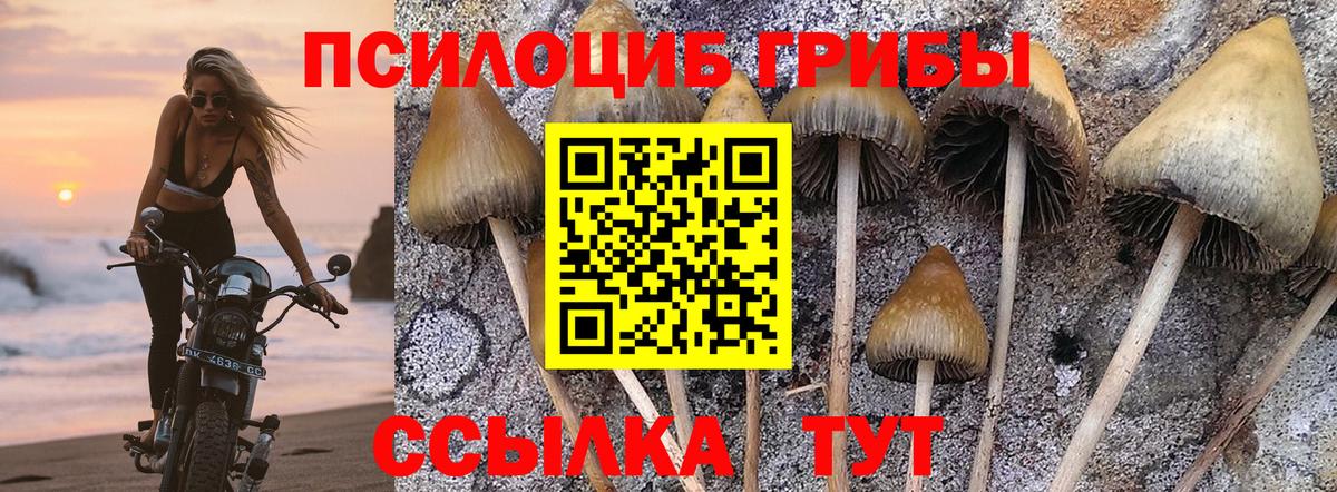Галлюциногенные грибы Magic Shrooms Елизово